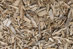 biomass boilers Tuckton